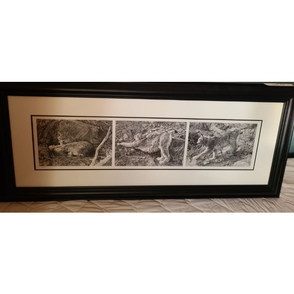 Canadian Lynx Tryptych by Carl Brenders Ltd Edition Print 331/1750 41 w 18 h