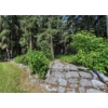 Image 26 : Rocky Mountain House Prime  Residential & Hwy Commercial Property