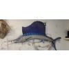 Image 1 : Vintage one sided skin mount sailfish (not a replica). 102" long, bill tip to caudal fin tip. 45" de
