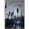 Image 1 : Striking Black and White Framed Photograph Print of Cattails