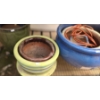 Flower Pots- Green Vase 11" Diameter  Top, 11 T , Blue: 18" Diameter Top, 11 T