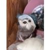 Image 2 : Cat Figurine and Decor Collection