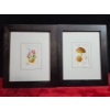 Image 1 : 2 Framed Food Drawings ( Ice Cream and Mushrooms )