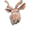 Image 5 : Kudu Shoulder Mount by M. O'Connor