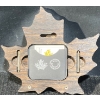 Image 6 : 2016 $20 Colourful Maple Leaf Fine Silver Coin 31.5 Grams