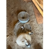 Image 1 : 3 pump hoses with connecters