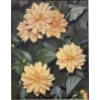 Image 1 : Framed Image of Several Apricot-Orange Dahlias in Full Bloom- Signed.