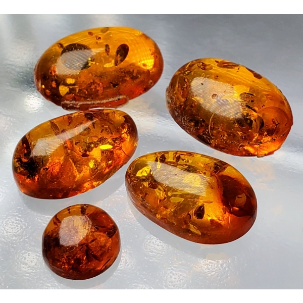  Amber Set (8 ct total, largest 13×10 mm)