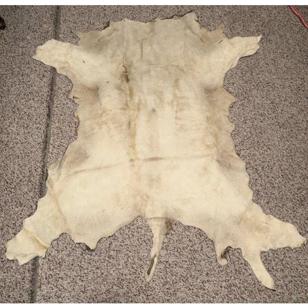Tanned Hide - Possibly Antelope Or Goat 