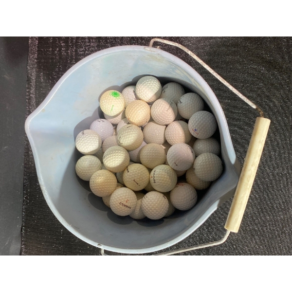 Putters Paradise! Bucket Full of Useable Golf Balls