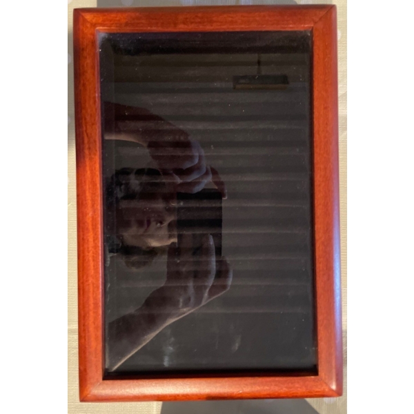 Wooden Glass Box Case for Pens 