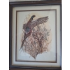 Image 2 : Waterfowl Framed Prints 