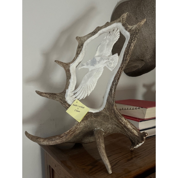 Moose antler with eagle carving made by Dennis