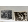 Image 4 : Collection of Stills from Tarzan