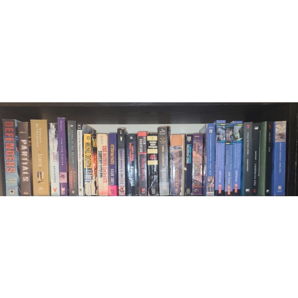 Selection of Books: The Lord of the Rings Books, Favorites by Ludlum and More!