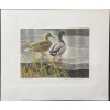 Image 2 : Robert Bateman "Mallard Pair- Early Winter" Signed Wildlife Habitat Canada Print