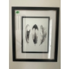 Image 1 : Artwork - Feathers 21x25, Garden 21x21