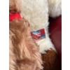 Image 4 : 4 Plush Bears and 2 Vintage Fisher Price Toys
