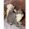 Image 4 : Woodland Animal Figurine Collection