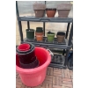 Image 3 : Greenhouse & Outdoor Living Items- Planters, Watering Jug & More