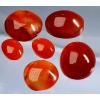 Image 2 : Carnelian Set (20.8 ct total, largest 12×10 mm)