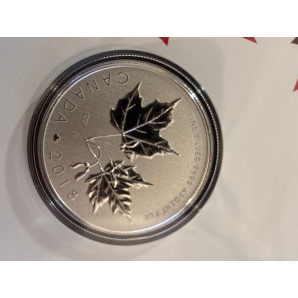 2018 $10 Maple Leaves - Pure Silver Coin
