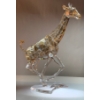 Image 1 : Swarovski Crystal Giraffe 5.5Lx7T 