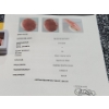 Image 3 : 20 Carat Rhodochrosite- Authentic with Certificate ( Estimated Value $50)