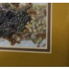 Image 6 : Untitled Dried and Dyed Wild Flowers, Artist: Mary Koonookoochook, Framed Under Glass 11.5 X 10 