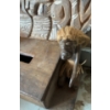 Image 5 : Hand Carved Tribal Decor & More 15L