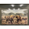 Image 3 : Framed Print of Elephants in a Savanna Setting