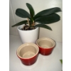 Image 2 : Le Crueset Rectangular Grill Ramekins Off Season Orchid Porcelain Bowls & More 