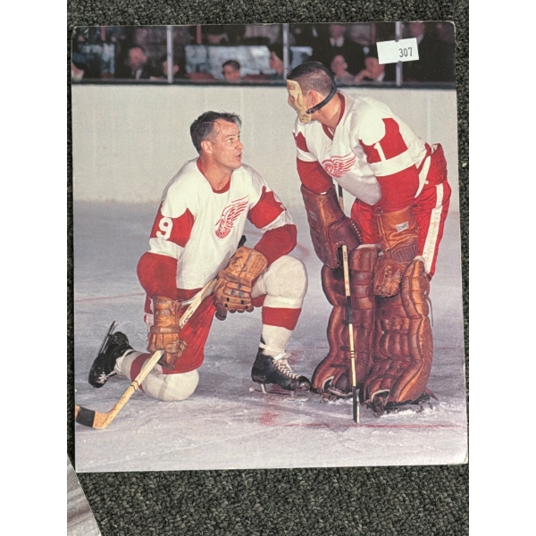 36" x 30" Detroit Red Wings Hockey Action Print and Four Additional Photos