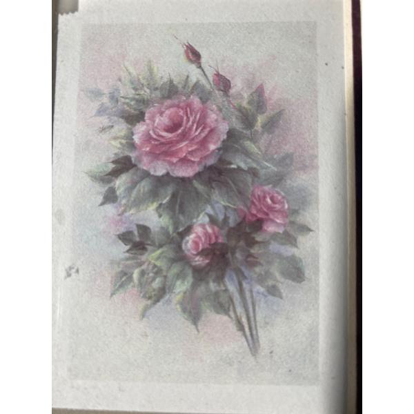 Botanical Print by Kate Miller-McRostie (2.5" x 3.5" Inches Without Frame)