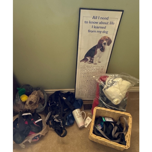 Dog Owner Essentials (Medium - Large Dog) - Harnesses, Shoes, Toys and More 