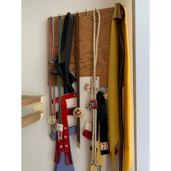 Western Bolo Tie Lot