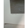 Image 7 : Alex Halliburton Gran'Ma's Shawl 20.5Tx13.5W, Feline Sanctuary 15Tx22.5W, Silent Sentinel 22Tx16W