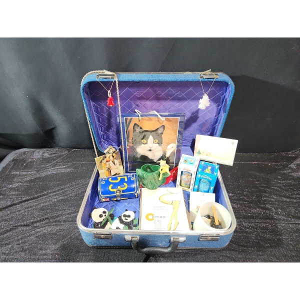 Hardtop Suitcase - License Plate Purse & More!