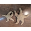 Image 8 : Coastal-Inspired Lot With Glass Jar, Decorative Shells, Necklaces, and Starfish