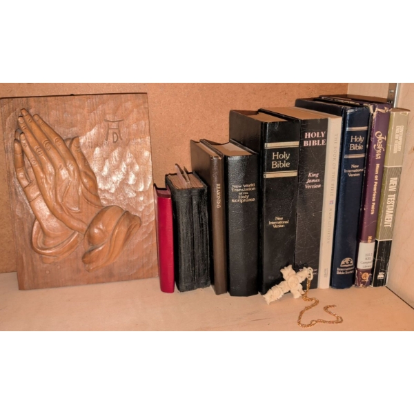 Religious Reads w/ 3D Carved Praying Hand Plaque & Unique Bone Cross Necklace 