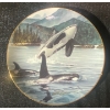 Image 6 : Decorative Collector Plates
