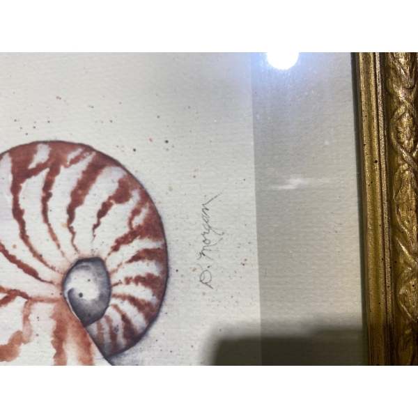 Shells Painting by Dorris Morgan (13.5 x 5.5" Before Frame)