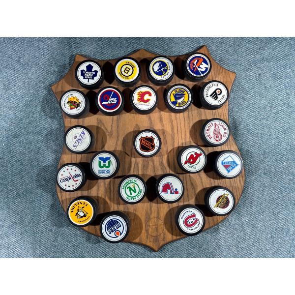 NHL Team Pucks Plaque