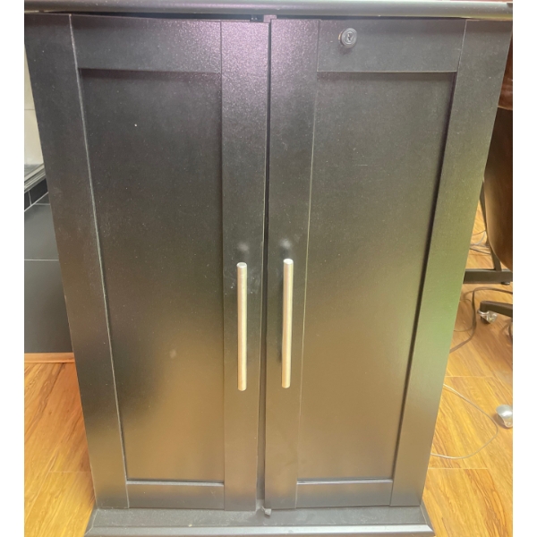 Double Doored VHS Storage Cabinet w/ Contents - Assorted Interests 26x18x37