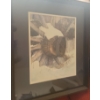 Image 1 : Wheel Print  21 x 25.5 Artist Beverley Spicer '80, Numbered 42/300, Framed Under Glass