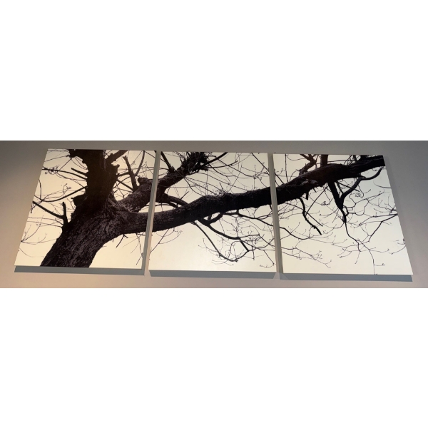 3 Piece Canvas Art Print - 'After The Rain'  By Lattitude Run 