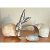 Image 4 : Large Turtle Shell(Carapace) & Collectible Shells & Mini World Clock