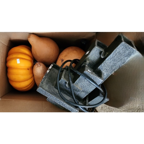 Fall Decor- Pumpkin 10 Diameter 5 T and Gourds 9 T and Tabletop Fountain 13 T