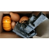 Image 1 : Fall Decor- Pumpkin 10 Diameter 5 T and Gourds 9 T and Tabletop Fountain 13 T