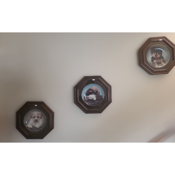 Trio of Framed Dog Plates 14 X 14 